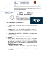 Economia en El Virreinato.