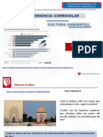 Experiencia Curricular: Cultura Ambiental