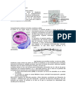 Catedra de Biología 3 de Mayo