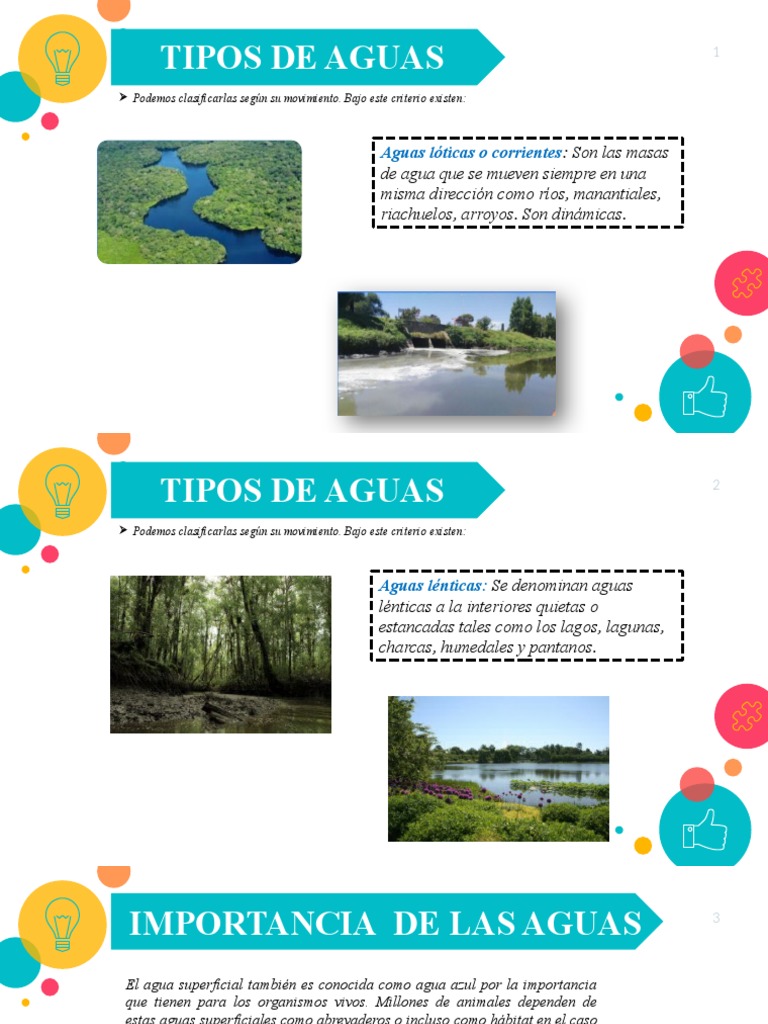 Tipos de Aguas Superficiales: Aguas Lóticas o Corrientes | PDF
