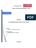 La Pandemia Del Covid-19 en El Peru