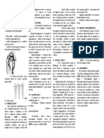 Síndrome Do Impacto