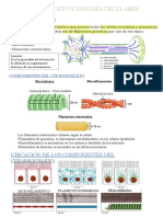 Biologia - Sem - 09 - Sesión-17 - 2022-1