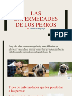 Las Enfermedades de Los Perros