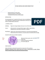 Lab Systemic Path Male Genital and Lut Exercise Neucom