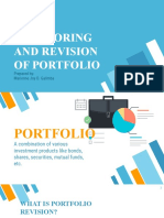 Monitoring and Revision of Portfolio