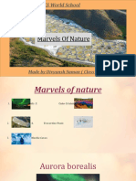 Marvels of Nature: Made by Divyansh Suman (Class 7 A)