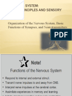 Nervous System - General