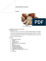 pdf-tanaman-obat-yang-mengandung-flavonoid_compress