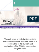 The Cell Cycle: Biology