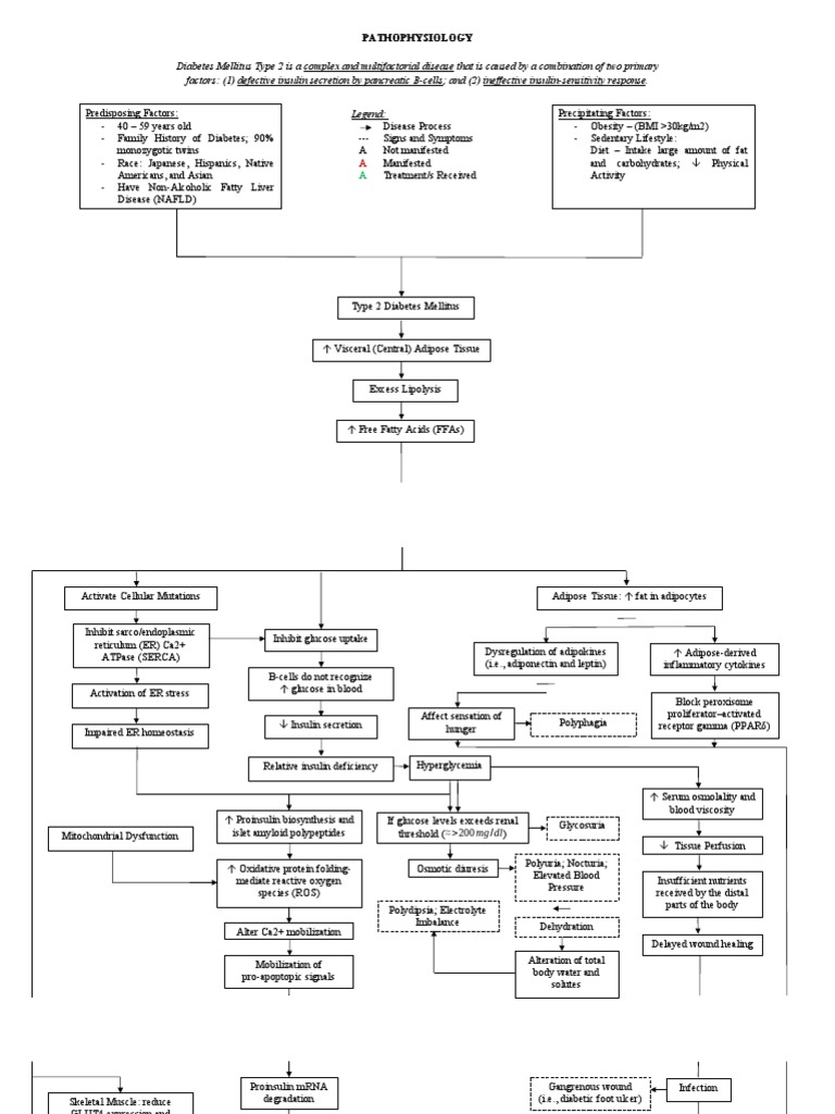 Pathophysiology of Type 2 Diabetes Mellitus | PDF | Diabetes | Adipose ...