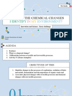 Copia de Chemical and Physical Changes