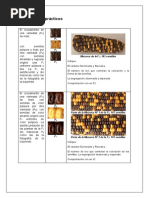 Vida Instrucciones Uso | PDF | Naturaleza