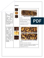 Practica 4