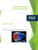 Cancerul Hepatic, Cancerul Pancreasului: Elaborarea Planului de Ingrijire
