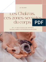 Le Guide Des Chakras - La Boutique de Manaïs