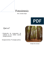 Fotosíntesis