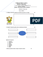 Evaluacion Quimestral Septimo