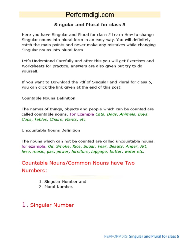 Class 5 Singular and Plural Worksheet | PDF | Plural | Grammatical Number