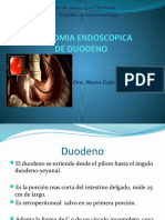 Anatomia de Duodeno y Asas Delgadas