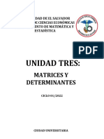 Unidad III - Deeterminantes