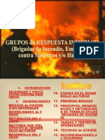 2010-11 Curso Brigada Incendio