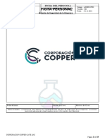Corporacion Copper Cave Sac - Estudio de Seguridad Empresa-Ficha Personal