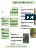 Características de La Producción de Madera en Ecuador