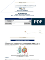 ADA.2. Microorganimos Procariotas y Eucariotas