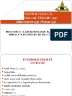 Curs 5 Enterobacterales i (Specii Implicate in Inf Tract Urinar