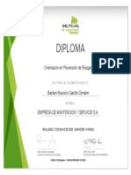 Diploma Prevencion de Riesgos