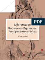 Diferença Entre Necrose Ou Equimose - Principais Intercorrencias