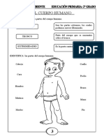 Partes del cuerpo humano y sus sentidos