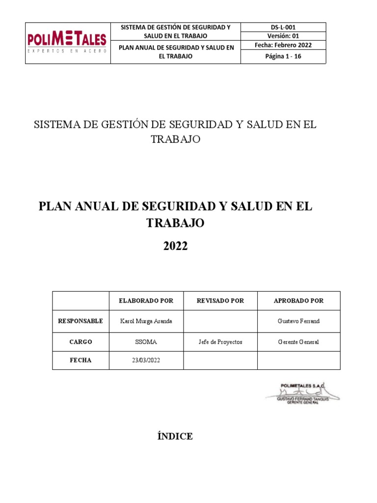 Plan Anual de SST 2022 | PDF | Seguridad y salud ocupacional | Riesgo