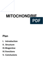 Mitochondrie