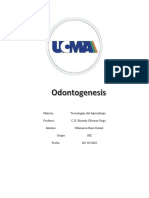 Villanueva Razo Daniel 1BC (Odontogenesis)