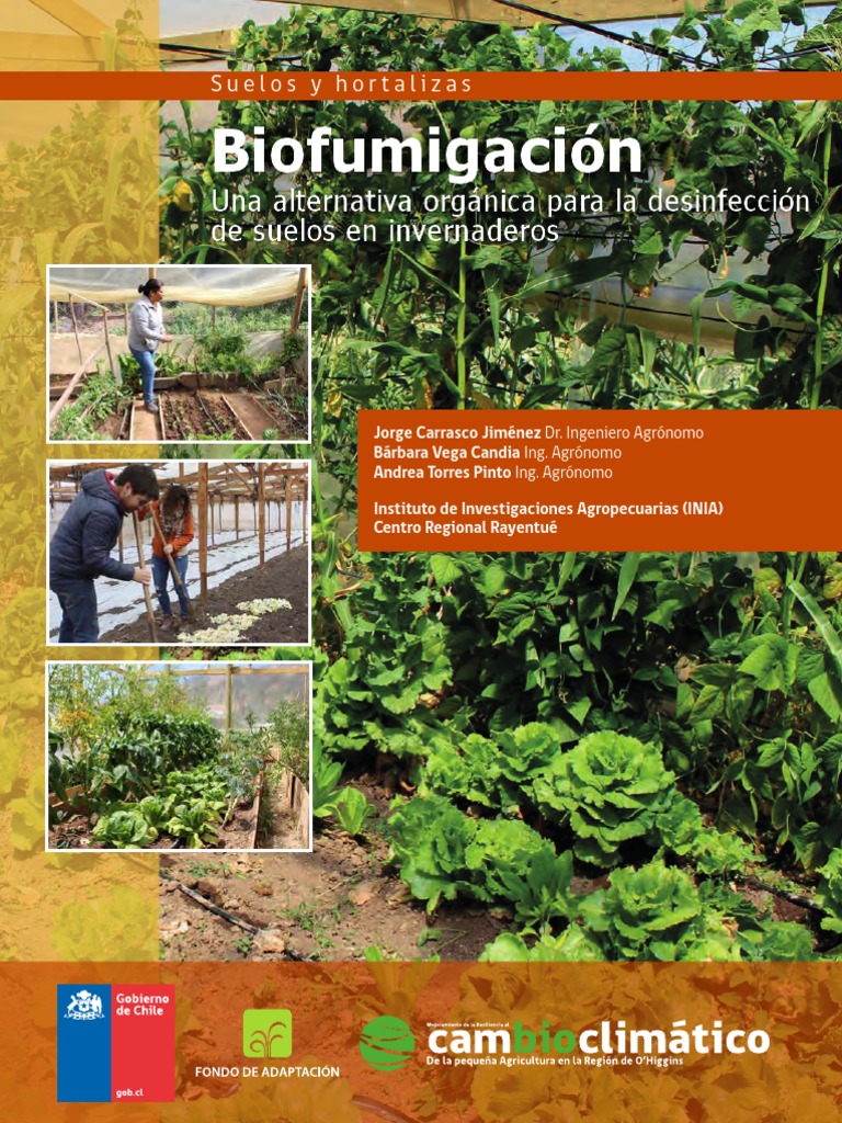 Biofumigación | PDF | Suelo | Descomposición