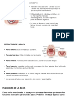 Anatomia y Fisiologia