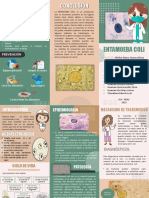 Triptico de Entamoeba Coli