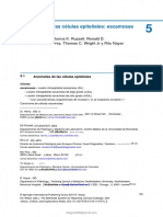 Pag. 135-192 Anomalías de Las Células Epiteliales. Escamosas