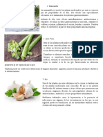 Plantas Medicinales, Economia