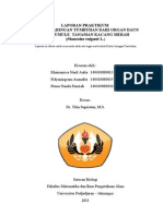 Download Laporan Praktikum Kuljatumb - Fix by nandafauziaa SN58233900 doc pdf