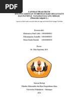 Download Laporan Praktikum Kuljatumb - Fix by nandafauziaa SN58233900 doc pdf