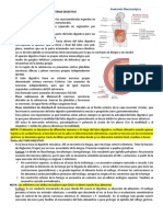 Sistema digestivo: funciones y partes