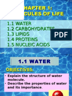 1.1 Water