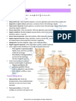 Resumen Anatomia - Abdomen