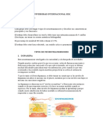 Tipos de Neurotransmisores