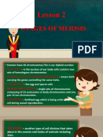 Scie 8-Q4-Xiii-Lesson 2-Stages of Meiosis