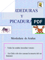 Mordedurasy Picaduras