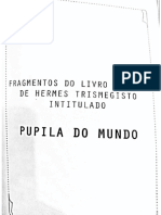 Kore Kosmos, Pupila Do Mundo (Tradução de Américo Sommerman)